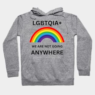 Gay Pride LGBT Lesbian Trans Gift For LGBTQIA Rainbow Family Queer Intersex Asexual Protest Hoodie